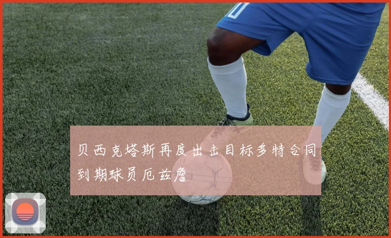 贝西克塔斯再度出击目标多特合同到期球员厄兹詹