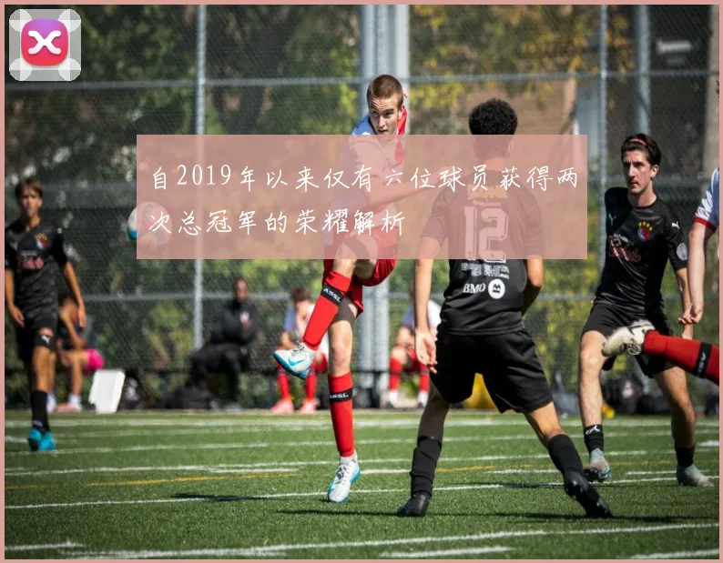 自2019年以来仅有六位球员获得两次总冠军的荣耀解析